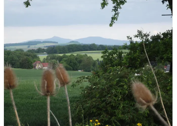 Pet Friendly Appartement Ninive